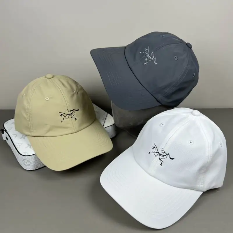 Arcteryx Cap dx19